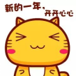 新的一年，开开心心