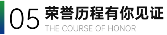 荣誉历程