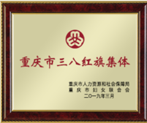 重庆市三八红旗集体