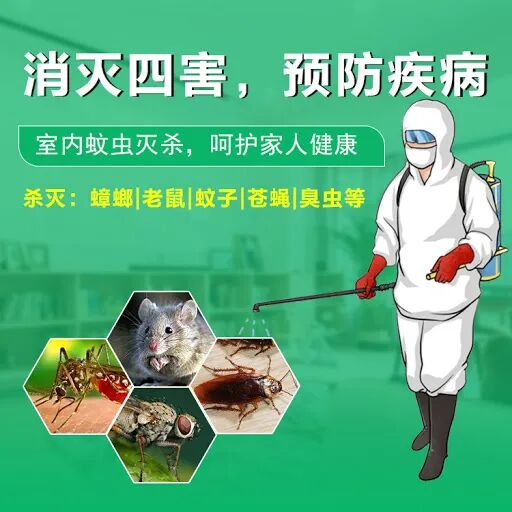 消灭四害，预防疾病