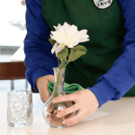 大田小家操作素材